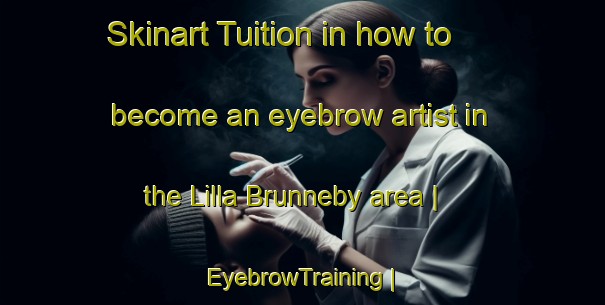 Skinart Tuition in how to become an eyebrow artist in the Lilla Brunneby area | EyebrowTraining | EyebrowClasses | SkinartTraining-Sweden